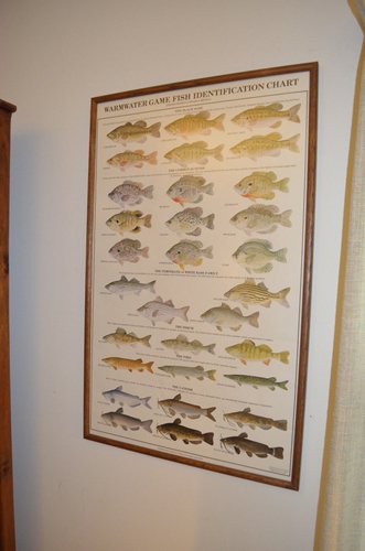 Property photo 34 - Moistner Personal Property Auction